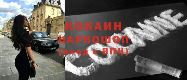 гашик Балахна